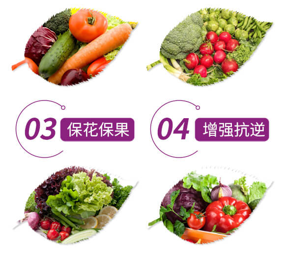 ������͏ͺϷ���12-8-28-����Ԫ�����-���r(n��ng)��_05