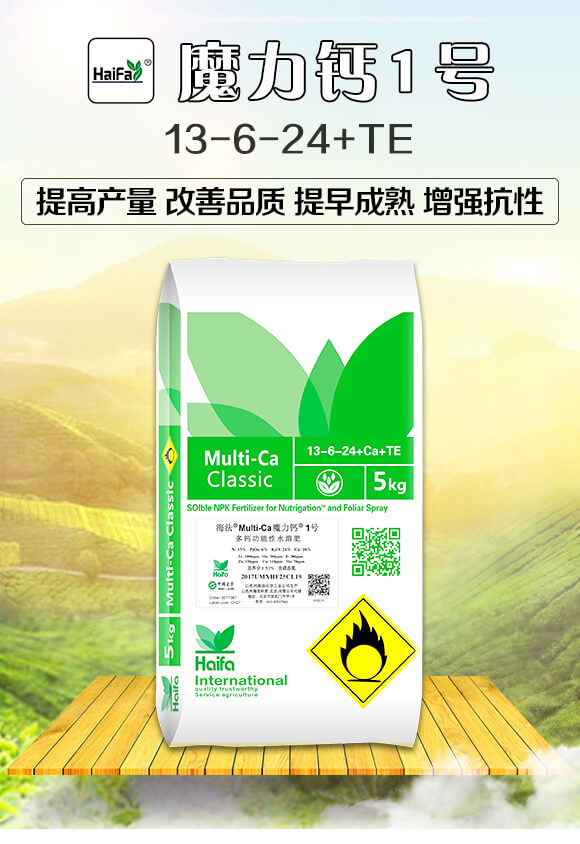 �๦����ˮ�ܷ�13-6-24+TE-ħ���}1̖(h��o)-�������Q(m��o)_01