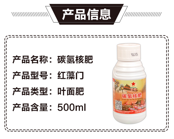 ̼��˷�-�t���T-̼����H_02