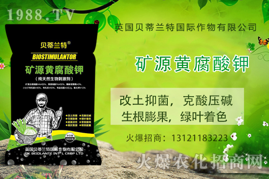 ���ܹ���ô�N�����ܹϷNֲ��(y��ng)ԓע����Щ���(xi��ng)��