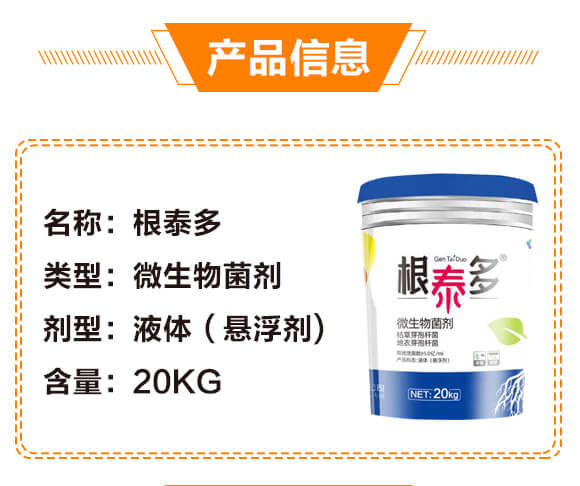 ΢�������-��̩��-��̩_03