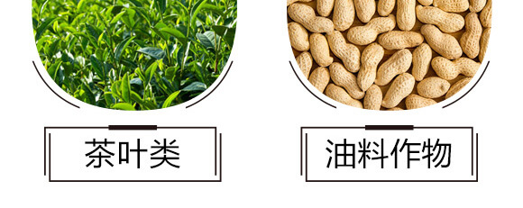 碳?xì)浜朔?藍(lán)藻門-碳?xì)鋰H_07