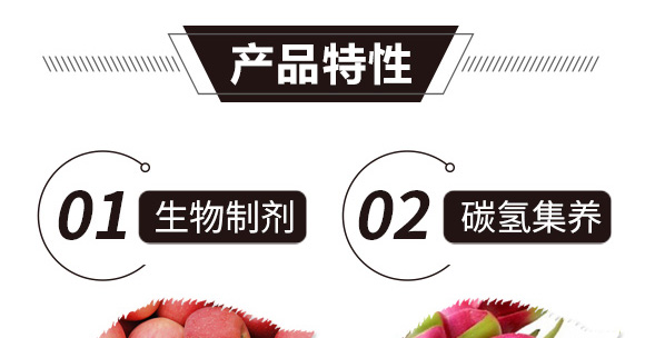 ̼��˷�-�t���T-̼����H_02