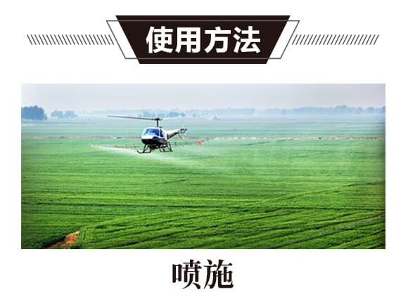 碳?xì)浜朔?藍(lán)藻門-碳?xì)鋰H_11