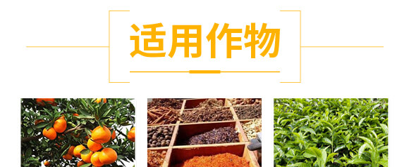 ���}�V��΢��Ԫ�ط�-ʩ��ɭ-��ɭ��_04