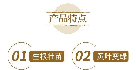 中藥材營養(yǎng)快補-含腐植酸水溶肥-北美農(nóng)大_05