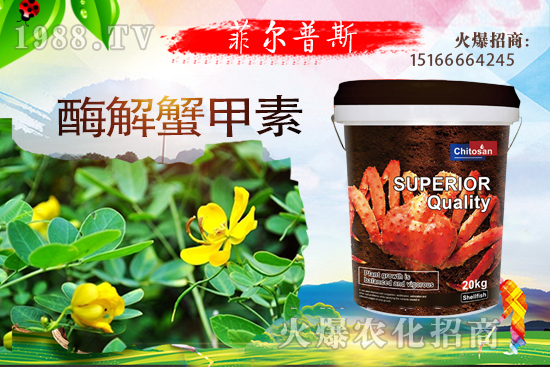 ������ô�Nֲ�������Nֲ���g(sh��)Ҫ�c(di��n)��