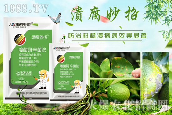 ���W�������ﱣ�o(h��)���޹�˾