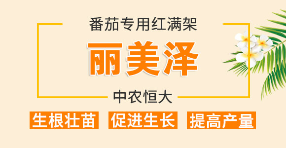 ���ь��üt�M��-������-���r(n��ng)���