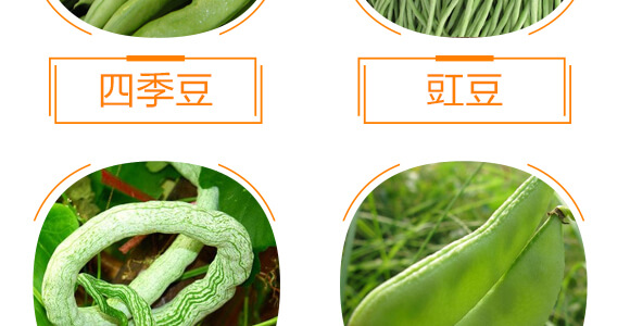 ���ǌ��ö�?ji��)M��-������-���r(n��ng)���_09