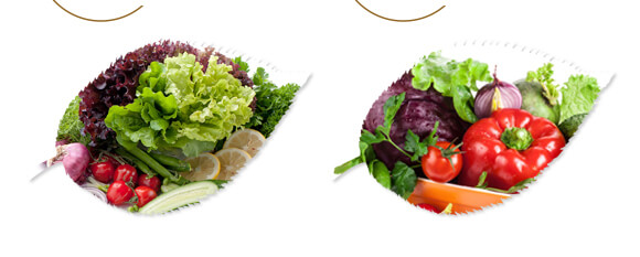 中藥材營養(yǎng)快補-含腐植酸水溶肥-北美農(nóng)大_07