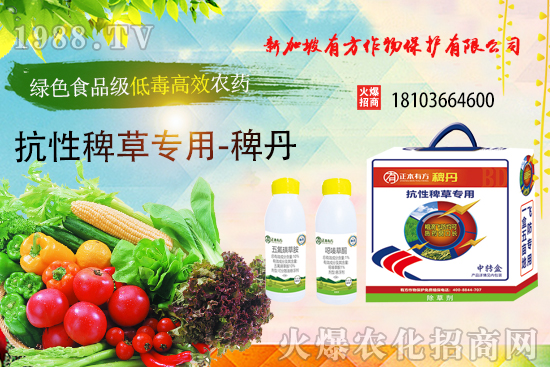 �r(n��ng)ˎ΢�҄������Ƃ似�g�о��Mչ