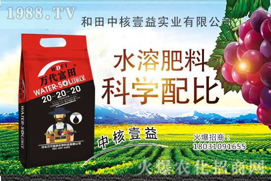 荔枝什么時間種植，荔枝種植技術(shù)要點，荔枝品種要怎么選？