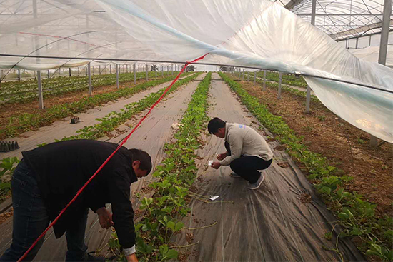 ��ݮȫ�a�I(y��)朷�����