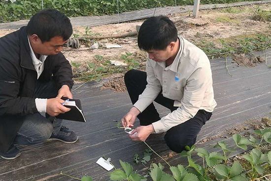 ��ݮȫ�a�I(y��)朷�����