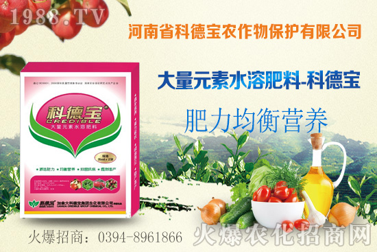 冬瓜育苗前需要做什么準(zhǔn)備？冬瓜對(duì)環(huán)境條件有什么要求？