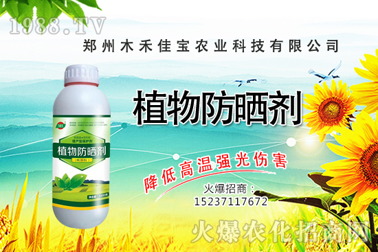 ѿ��˷Nֲǰ����ô����ѿ��˷Nֲ���g(sh��)����Щ��