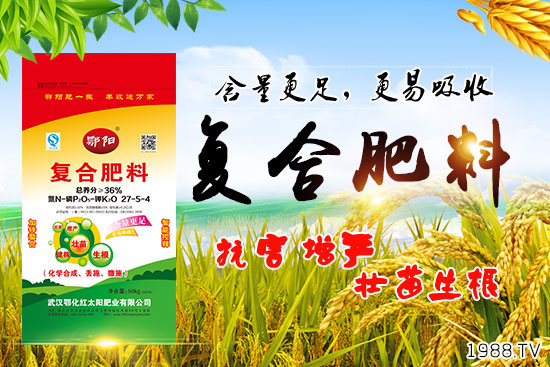 血橙有哪些營養(yǎng)價值?吃血橙有什么好處?