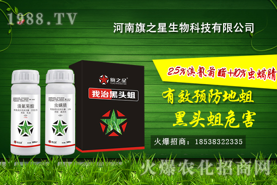 ʲô�Ǿ����������l(f��)��Ҏ(gu��)���������o�������η�����