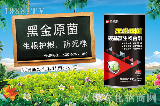     ����ʲô�r(sh��)����죬���׵��ի@�r(sh��)�������׵ĠI(y��ng)�B(y��ng)�r(ji��)ֵ��