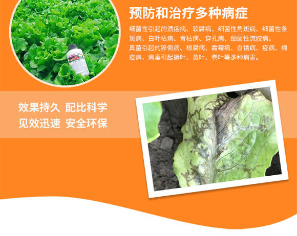 �r(n��ng)��ڈ@���＼�g(sh��)���޹�˾1_05