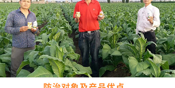 �r(n��ng)��ڈ@���＼�g(sh��)���޹�˾1_08