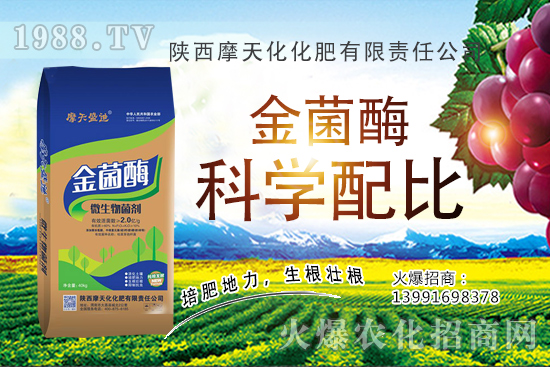 �Nһ���O(p��ng)���ĳɱ��Ƕ������ж�������(r��n)���O(p��ng)���Nֲ���g(sh��)�c������