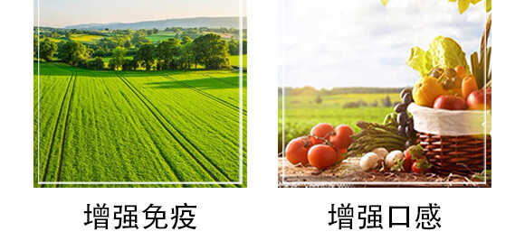 鼎豐賦能-天賜鼎立_06