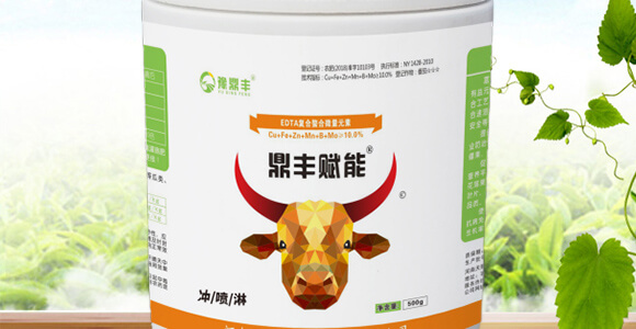 鼎豐賦能-天賜鼎立_02