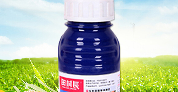 ���׳��݄��⚢�͡�����L(zh��ng)_02