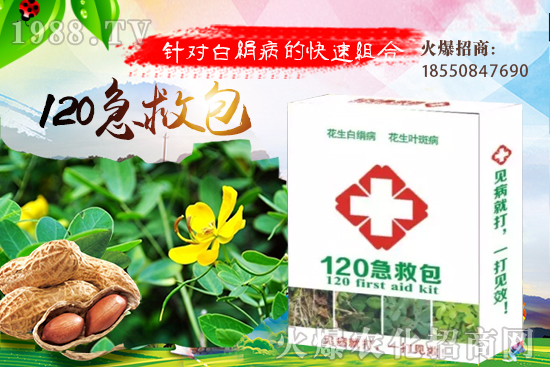 �ȹ����緽������Щ���ȹ���ô���Զ�ֲ��