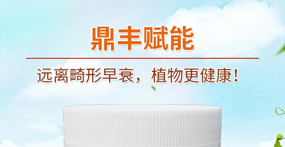 鼎豐賦能-天賜鼎立_01