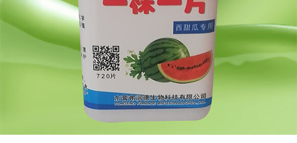 ����ό���-һ��һƬ_03