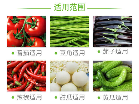 蚜虱片-茄果通用（西紅柿、茄子、黃瓜、辣椒、甜西瓜等）_07