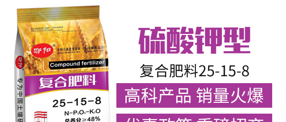 ������͏ͺϷ���25-14-6-���_04