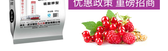 ������͏ͺϷ���25-14-6-���_05