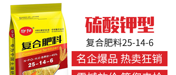 ������͏�(f��)�Ϸ���25-14-6-���_04