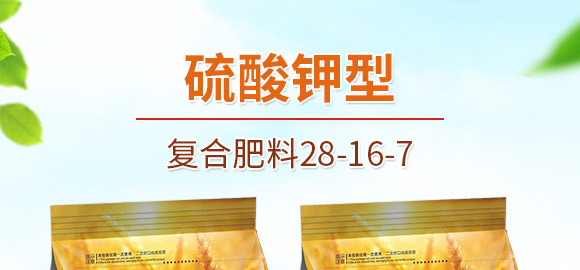 ������͏�(f��)�Ϸ���25-14-6-���(y��ng)_01