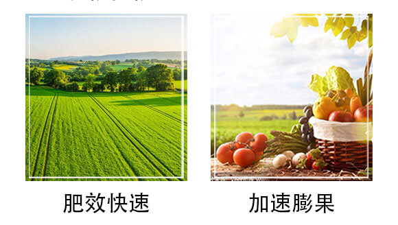 ����ֲ��ˮ�ܷ�-�W�{������-�W�{�r(n��ng)�I(y��)_06