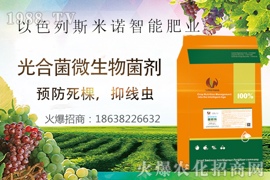 ���Y(ji��)���xΣ������̫�y��������΢�ء����æ�����ƾ��x���x�����Ƀ���