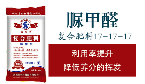 ��(f��)�Ϸ��ϣ����ȩ��17-17-17-������_02