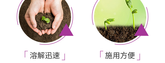 ������͏ͺϷ���25-14-6-���_08