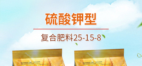 ������͏ͺϷ���25-14-6-���_01