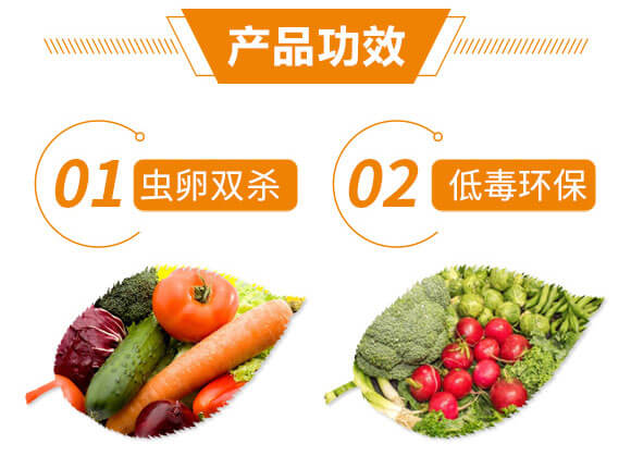 �x(ch��ng)����+ʭ����-�����p��-����֮��_08