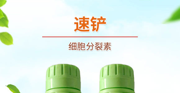 細(xì)胞分裂素-國(guó)豐健園_01