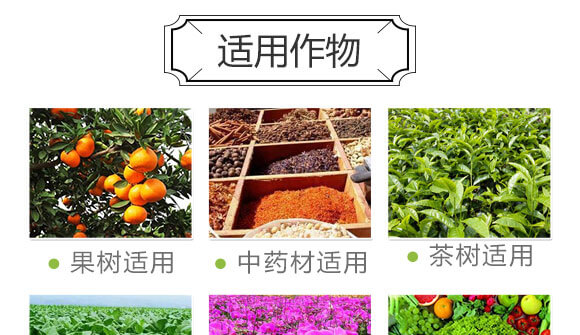 細(xì)胞分裂素-國(guó)豐健園_08