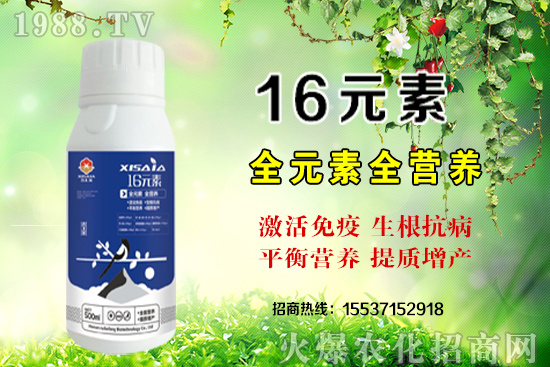 ��(f��)�Ϸʃr��