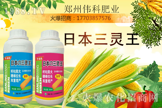 ���׿����״κã����׿����r�g�����׿����a(ch��n)Ʒ�x����