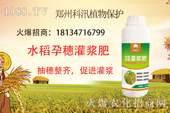 水稻施肥有技巧，這些你都知道了么？水稻施肥技術(shù)要點！