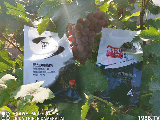 �îa(ch��n)Ʒ����������һ�t���΢������������t���͑��挍������